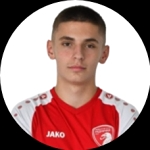 Aleksa Jelić