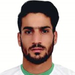 Hossein Abarghouei