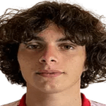 Andro Jolokhava