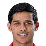 Mehdi Ghayedi