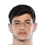 Giorgi Tsetskhladze