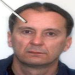 Elvis Kamberović