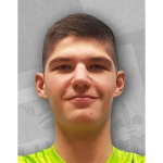 Karlo Slukić