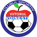 ACS Viitorul Voinești