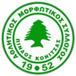AMS Pindos Konitsas 1952