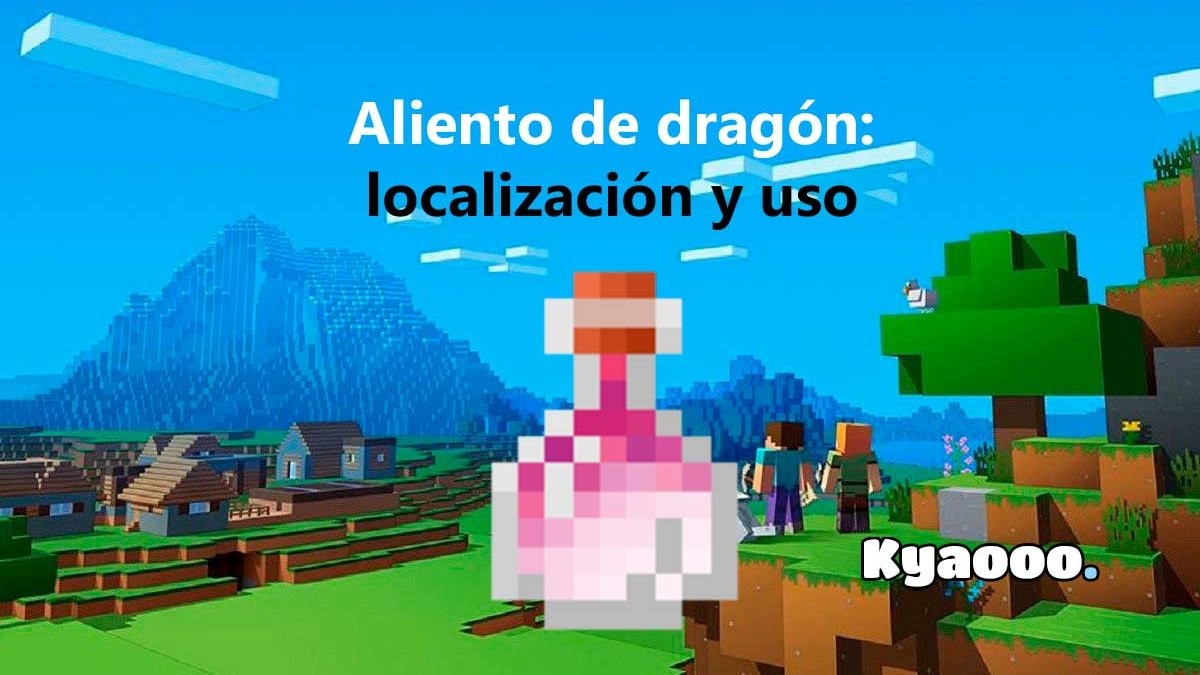 Descripción